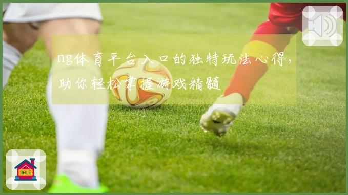 ng体育平台入口的独特玩法心得，助你轻松掌握游戏精髓