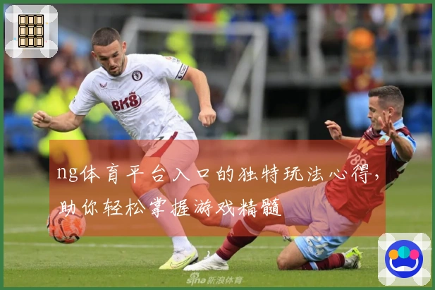 ng体育平台入口的独特玩法心得，助你轻松掌握游戏精髓