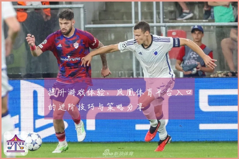 提升游戏体验，凤凰体育平台入口的进阶技巧与策略分享